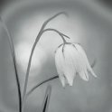 PTS-20160419-00026- Bewerkt